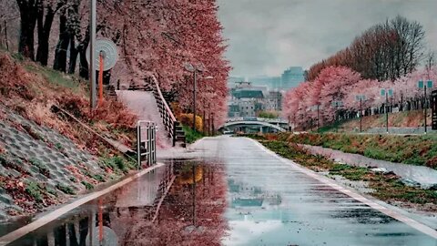 Gentle rain in the beautiful Yangjae Citizens' Forest park