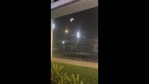 Frog on the glass