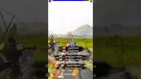Bannerlord mods that got 132.6k followers and 3.3 million likes on TikTok Gaming Star Wars Warcraft