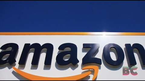 Amazon pushes back against Europe’s pioneering new digital rules