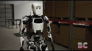 Apollo, the humanoid robot