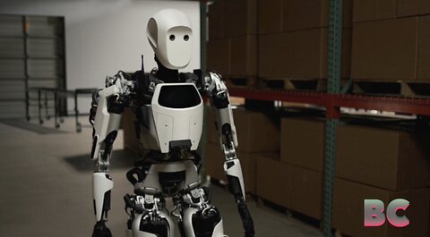 Apollo, the humanoid robot