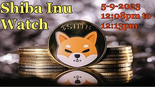 Shiba Inu Watch 5-9-2023 12:08pm to 12:13pm