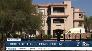 Broken pipe floods Valley condo building