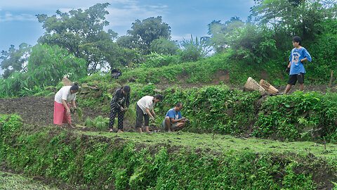Millet Planting in Village Nepal