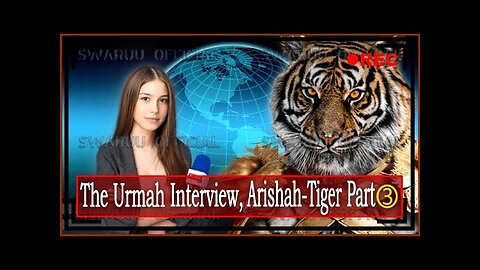 Interview du Tigre Urmah, Arishah, Partie 3. 🐯