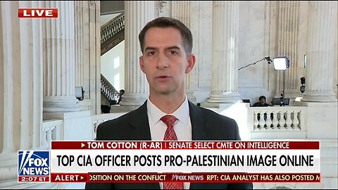 Sen Cotton: Suspend CIA Official After Posting Pro Palestinian Image