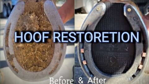 hoof restoration 2022