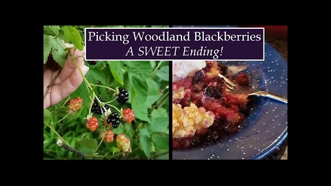 A farm girl episode; Picking Wild Blackberries, UTV Trail Riding and a SWEET Ending to the Day