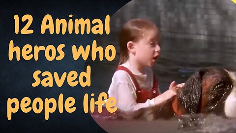 Do you believe, 12 animal heros saved people life ❤️