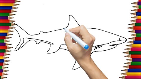 Como Desenhar Um Tubarão | How To Draw a Shark| Desenhos Irados Nº 23 | 2021