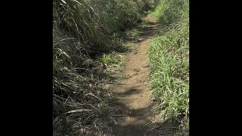 Captain Cook Hike