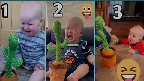 20 Ausgust 2023 | Cute Babies Palying With Dancing cactus (Hilarious) cute baby Funny video