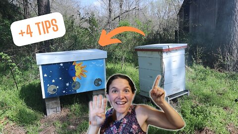 "☀️&🌙 Hive" Part 1: Transferring Abandoned LANGSTROTH Hive to LAYENS (Found an EMERGENCY QUEEN!)