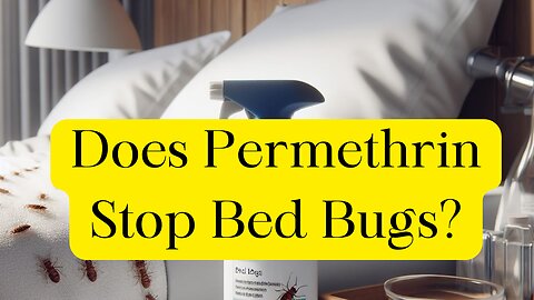 Does Permethrin Kill Bed Bugs?