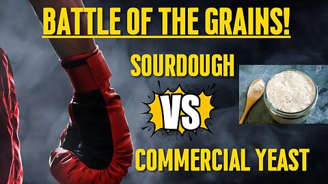 Sourdough vs Commercial Yeast | Is Sourdough the Best Bread? | Battle of the Grains
