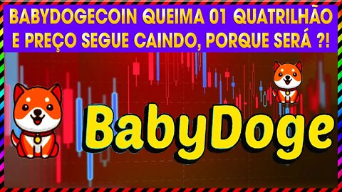 BABYDOGE QUEIMA 01 QUATRILHÃO E PREÇO SEGUE CAINDO, PORQUE SERÁ !!!