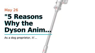 "5 Reasons Why the Dyson Animal Filter is a Must-Have for Pet Owners" Things To Know Before You...