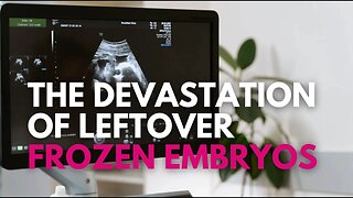 The Devastation of Leftover Frozen Embryos