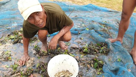 Siem Reap2021 Countryside, Find Fish in The Baray Lake / Amazing Tour Cambodia.