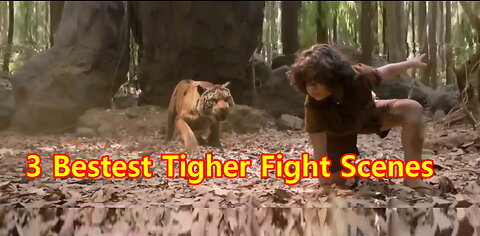 3 Bestest Tigher Fight Scenes
