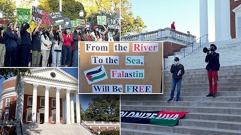 Activist At The University Of Virginia Calls Hamas' Invasion Of Israel 'Great'