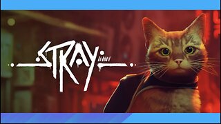 Stray: A Game About Freedom | Deep Thoughts While Gaming