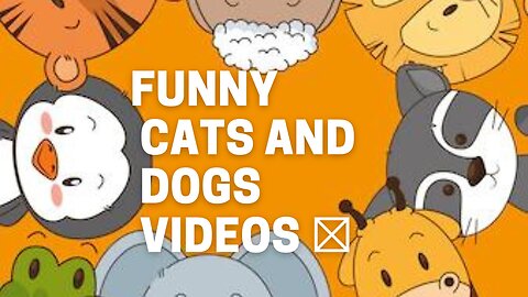Funny Cats and Dogs Videos 🤣 - Funniest Animal Videos 2023! 🥰 #2