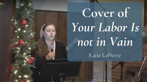 Cover of Your Labor Is not in Vain by Katie LaPierre