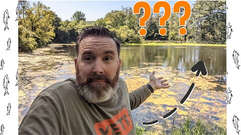 Can I Hook a Frog With My Frog Lure? | Got Any Advice For Fishing This Pond | Lunchtime Fishing Ep 2