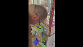 Egg Claw Machine #clawmachine #gamers #eggs