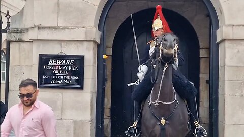 King's guard not taking any more touching of the reins GET OFF THE REINS #horseguardsparade