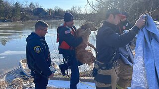 Oklahoma City firefighters help rescue dog from frozen pond