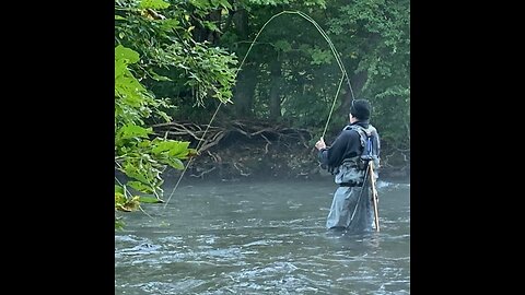 Salmon Fishing Oswego 1 fish in 1 cast landed and returned in 1 minute