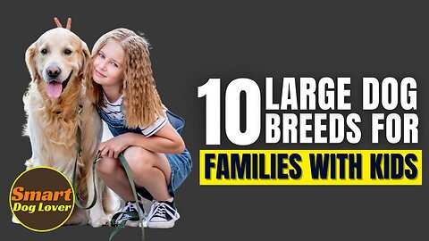 Top 10 Best Large Dog Breeds For Families With Children | Dog Training Tips