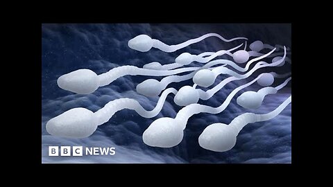 Male contraceptive pill a real possibility, say scientists - BBC News