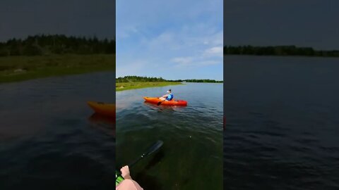 Kayaking in Canada || 360 Video of my Girlfriend Kayaking