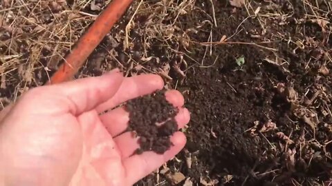 Soil is the Foundation of Prosperity #shorts