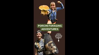 Porcini Foraging Adventures [GOURMET WILD MUSHROOMS]