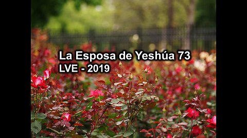 La Esposa de Yeshúa 73 - YHWH Ekjad 52 - Juan 9