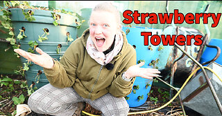 Grow Juicy Strawberries in a Tower: April Planting Tips for Your Allotment Garden