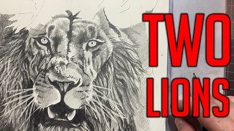 Two Lions: Drawing The King Part 1