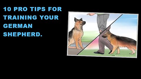 10 Pro Tips for Training Your German Shepherd.