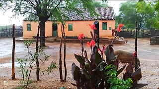 RAIN IN THE NORDESTINE SERTAO OF BRAZIL, A WONDERFUL