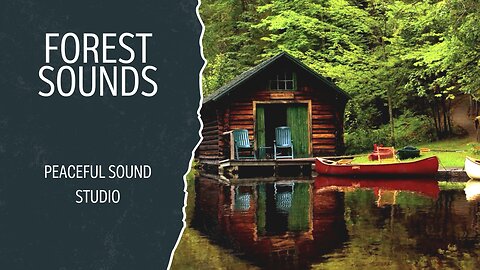 Calming Rainforest Ambience With Lake House View | Bird Singing Mood Booster | Rainforest Sounds
