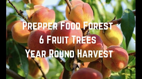 Prepper Food Forest: 6 Fruit Trees Year Round Harvest