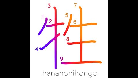 牲 - animal sacrifice/offering/scapegoat - Learn how to write Japanese Kanji 牲 - hananonihongo.com