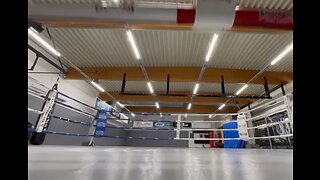 Mma sparring