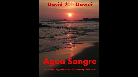 Book Trailer - Agua Sangre by David Dawei