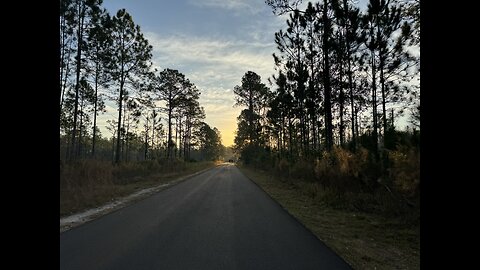 Corinthian Recumbent - Starkey & Suncoast Trails